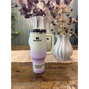 Stanley Halloween 40 oz Stainless Steel H2.0 Flowstate Quencher Tumbler RARE